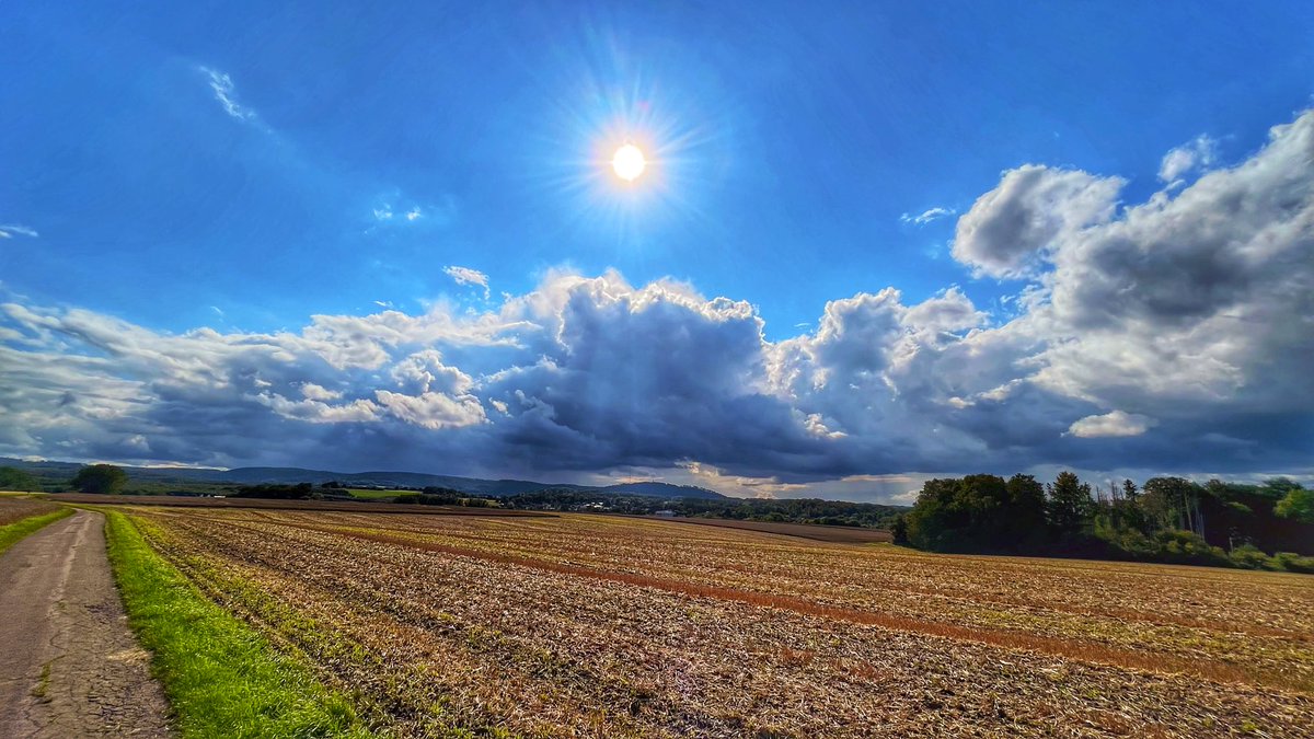 ArneBrandneu's tweet photo. Ein wenig das Gefühl, die Wolken umzingeln mich. 😎😁 #lippe #lippeliebe #heimat #heimatliebe #hermannsdenkmal #externsteine #lipperland #wandern #nature #photography #fotografie #natur #teutoburgerwald #hiking #wanderlust #outdoor #naturephotography #landscape #wald #travel https://t.co/7YtEPIYunB