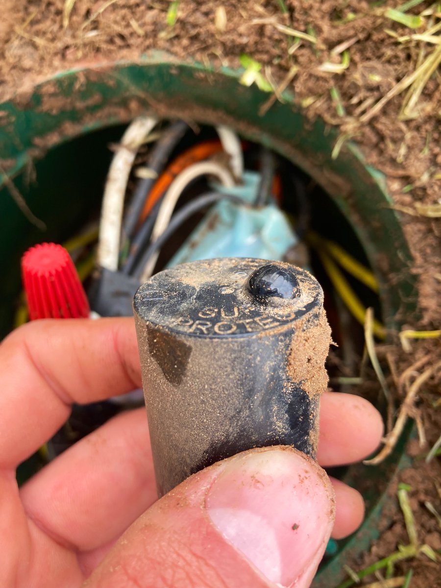 James Horvath tweet media