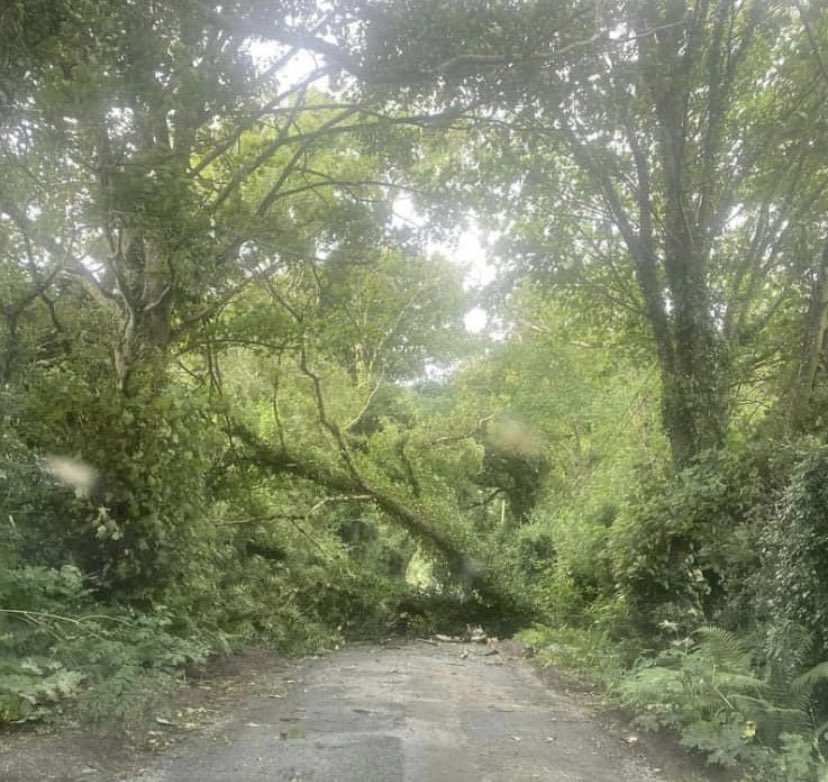 Pádraig Byrne tweet media