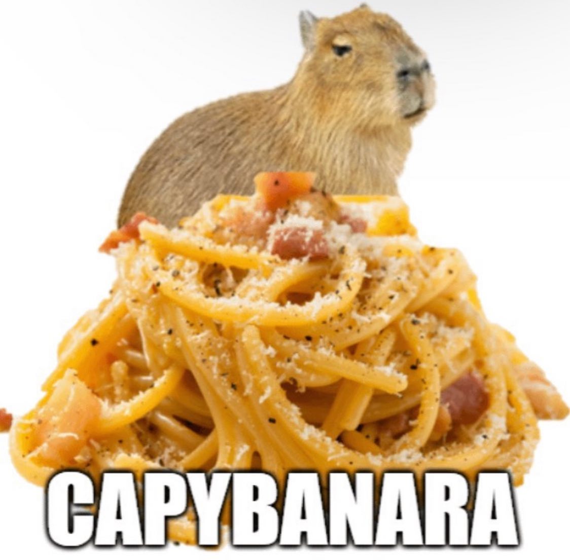capybara_lover2's tweet photo. https://t.co/z6ffQswrZt