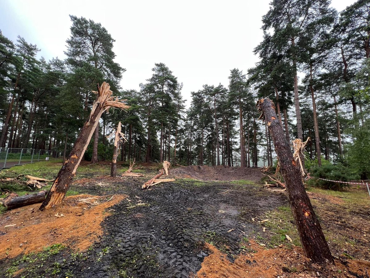 Redanian Intelligence tweet media