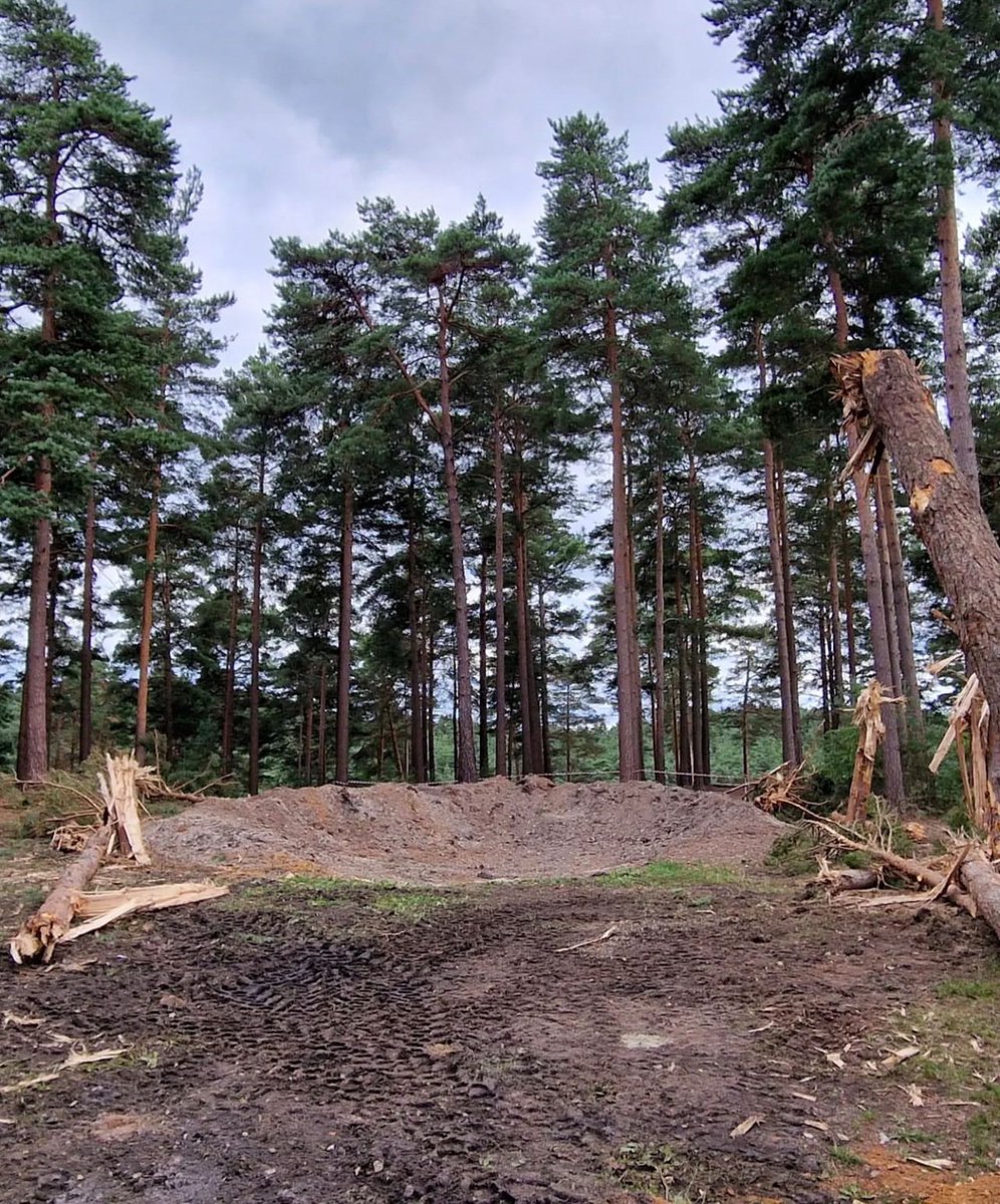 Redanian Intelligence tweet media