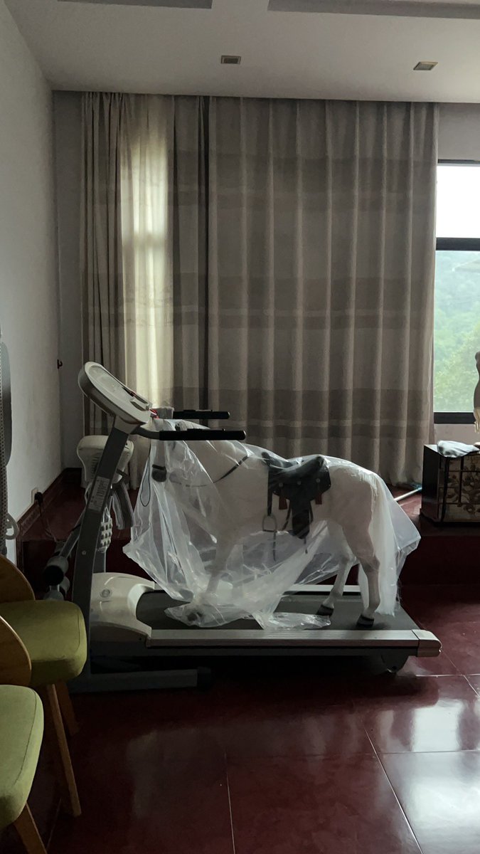 bababulab's tweet photo. 这个马太大了房间放不下只能丢二楼客厅，妈妈收拾东西给它安置在跑步机上哈哈哈哈哈哈哈哈哈哈哈哈哈哈哈哈哈哈哈哈哈哈哈哈哈 https://t.co/2pGUutWriL