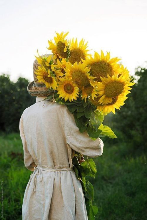 🌎 sunflower Day 🌍
روز جهانی گل آفتابگردان 
۵ آگوست، ۱۴ مرداد
#روز_جهانی_آفتابگردان

#sunflowerday
#worldsunflowerday
#nationalsunflowerday
#sunflower
🌻 🌻 🌻 🌻