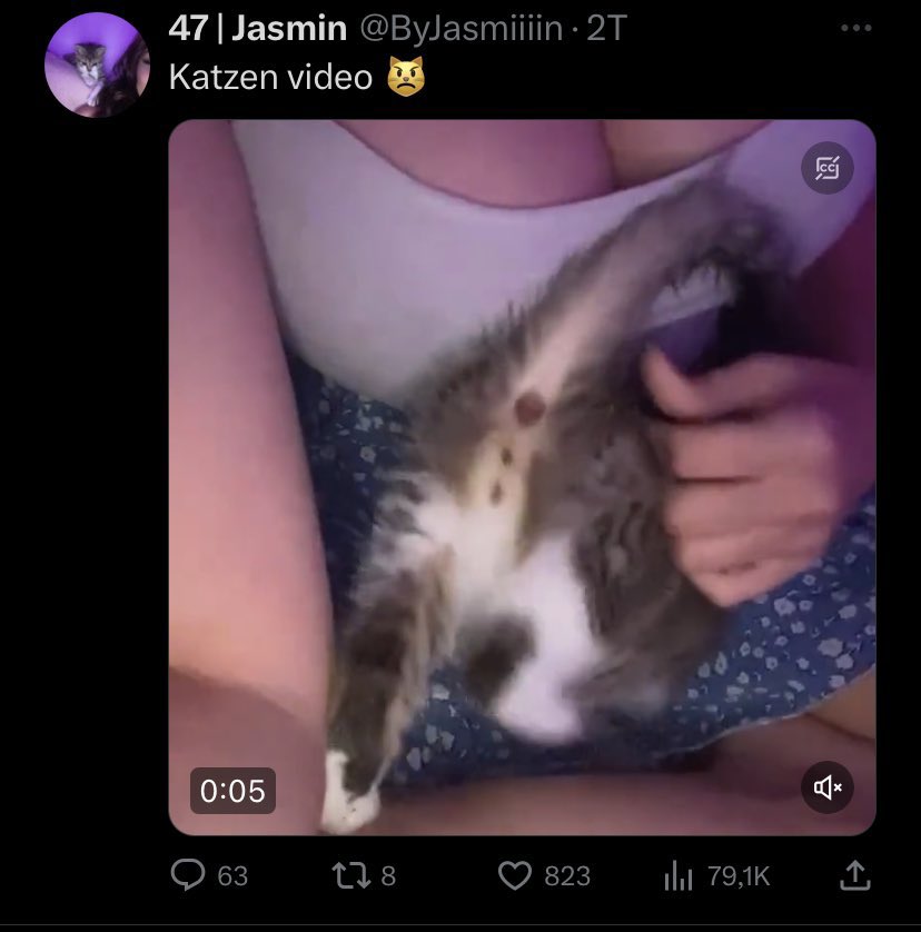 Ohne ihre möpse wäre sie irrelevant