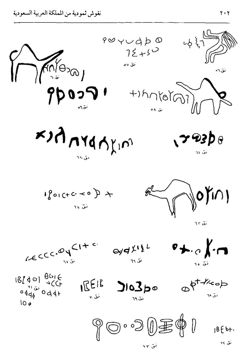 الثموديين،

من القبائل العربية القديمة التي تمركزت بالسعودية نجد كثرة النقوش في (حائل و تيماء) فقط في موقع جبة بحائل تصل عدد النقوش 5431 نقش ثمودي.

اشتهروا الثموديين بالتجارة و الرعي و غيرها، ذُكر الثموديين بعدة مصادر تاريخية منها، الكتابات الآشورية سنة 705 ق.م و هي اقدم ذكر لهم