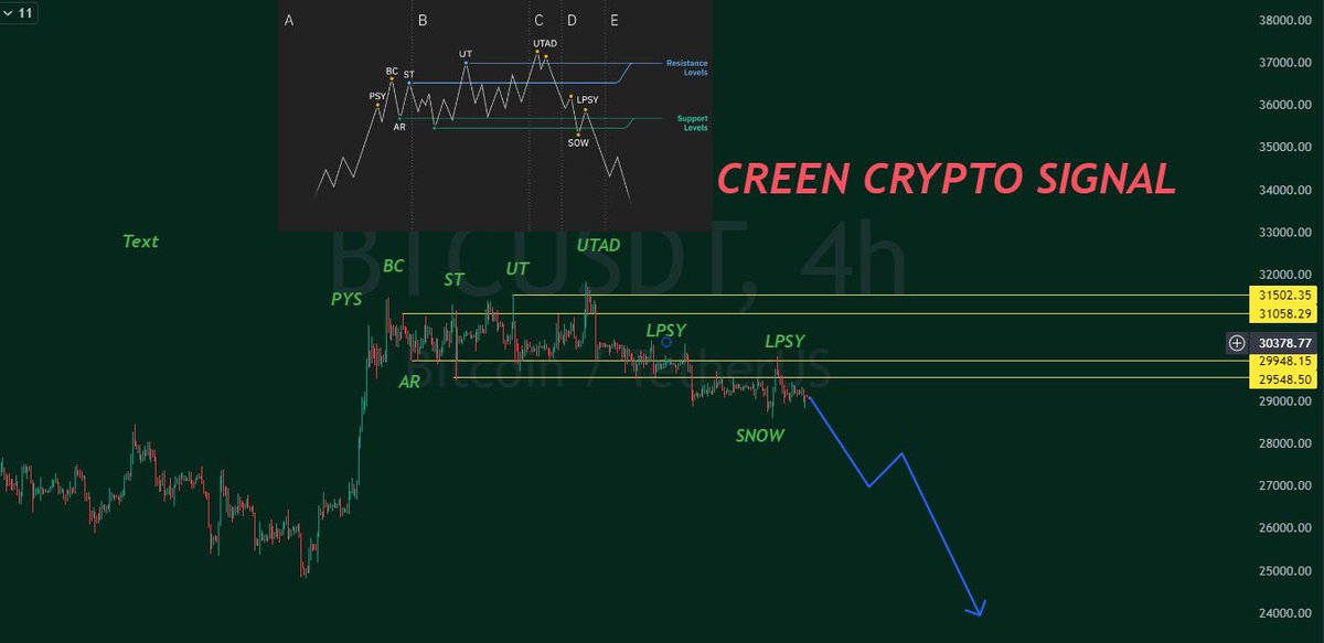 Segrust’s Trader tweet media