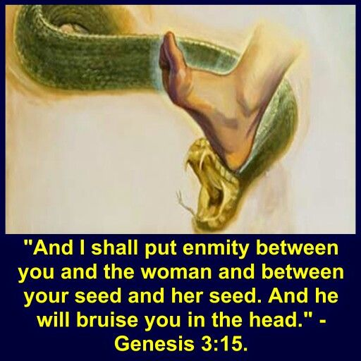 1Truth613's tweet photo. #Gen3:15 The Amazing Prophecy that Changed the History of Mankind The Bible is 1/3 Prophecies others have been fulfilled &amp; yet others have yet 2 take place God was talking 2 the serpent who deceived Eve &amp;led Adam &amp;Eve 2sin #Rev12:9 identifies who this serpent was,It was the Satan https://t.co/rCIprWZzsb