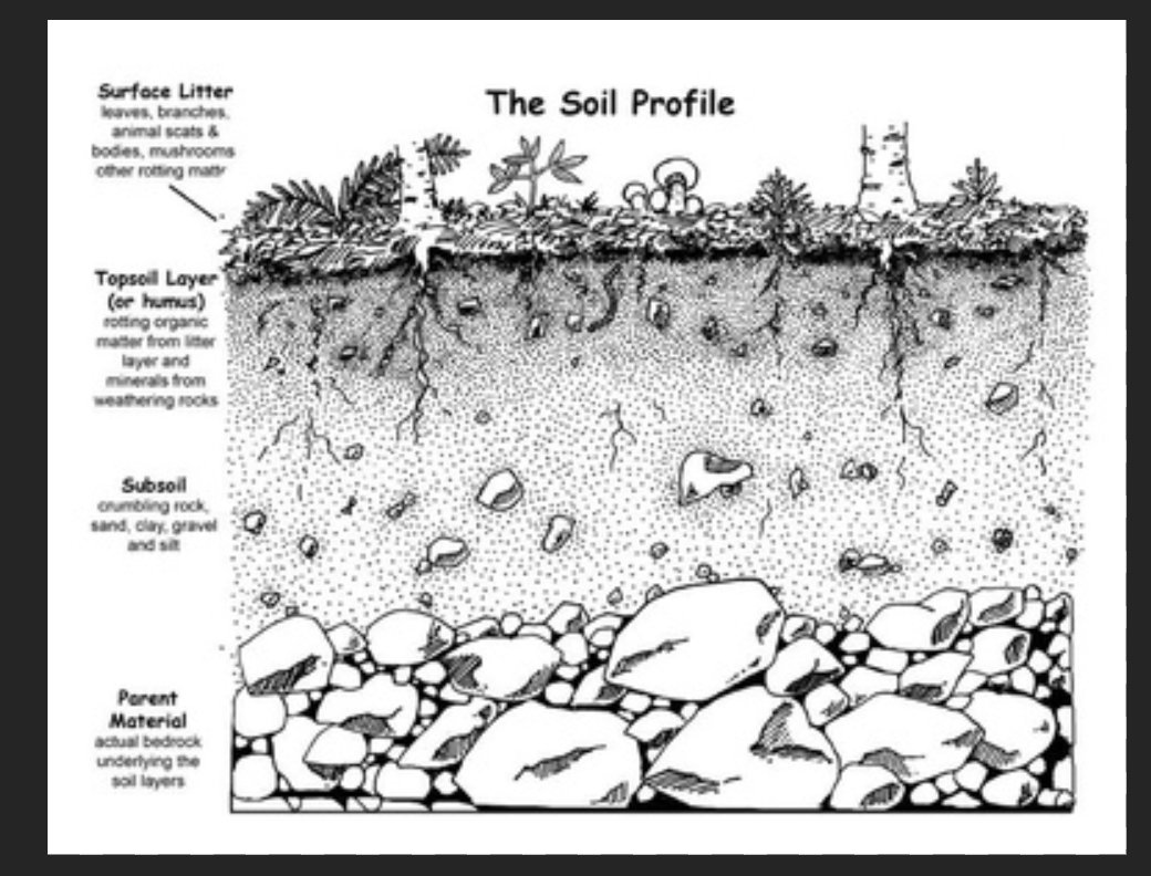 Does anyone know where in the UK I can go to view a sample cross section/profile displaying the different soil layers? Preferably in person. 

<a href="/UKSoilObs/">UK Soil Observatory</a> <a href="/SoilAssociation/">Soil Association</a> <a href="/ibers_aber/">IBERS - Aber</a> <a href="/COSMOS_UKCEH/">COSMOS-UK</a>