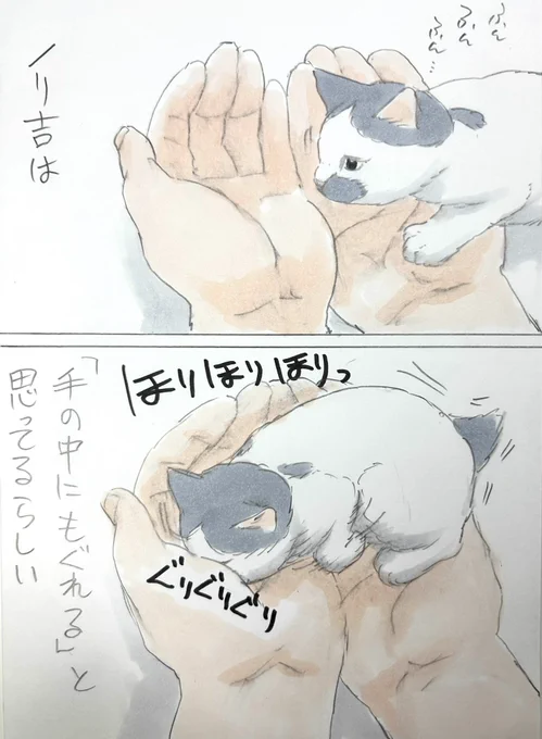 まいにちノリ吉