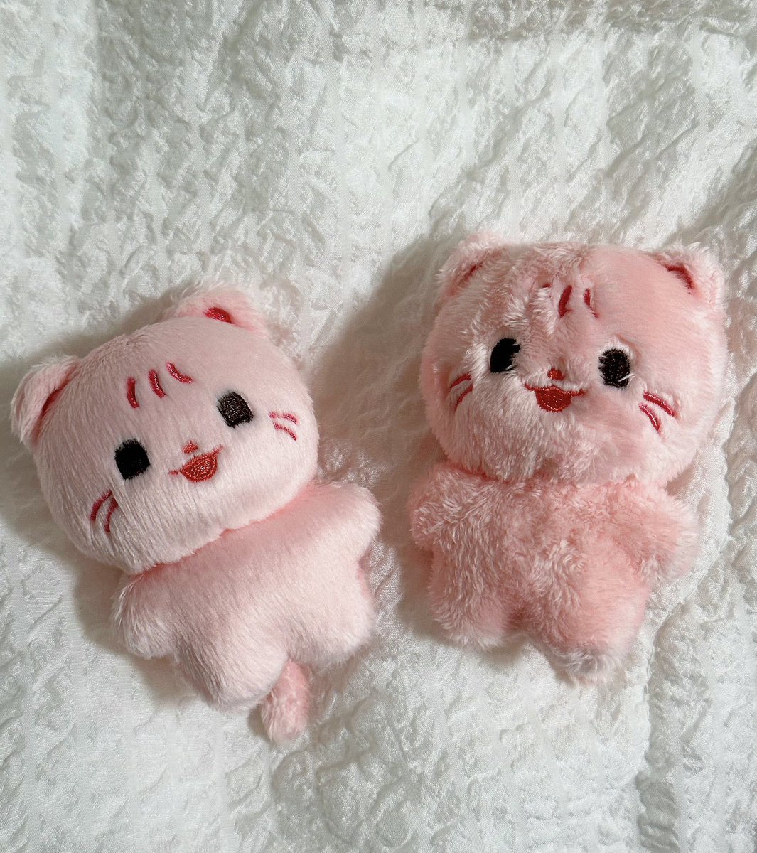 #숩달이의하루
숩달이 오자마자 순서대로 경락 미용 당하는중
이뿌게 하고 다니자!!!!