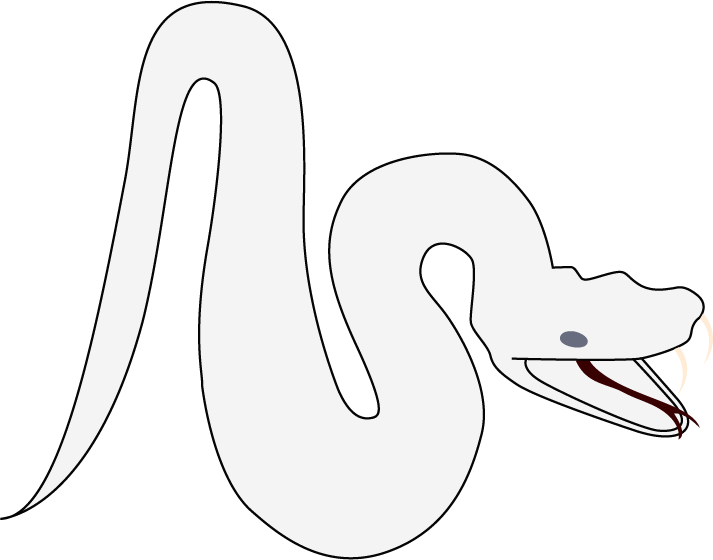 whitesnake tweet media
