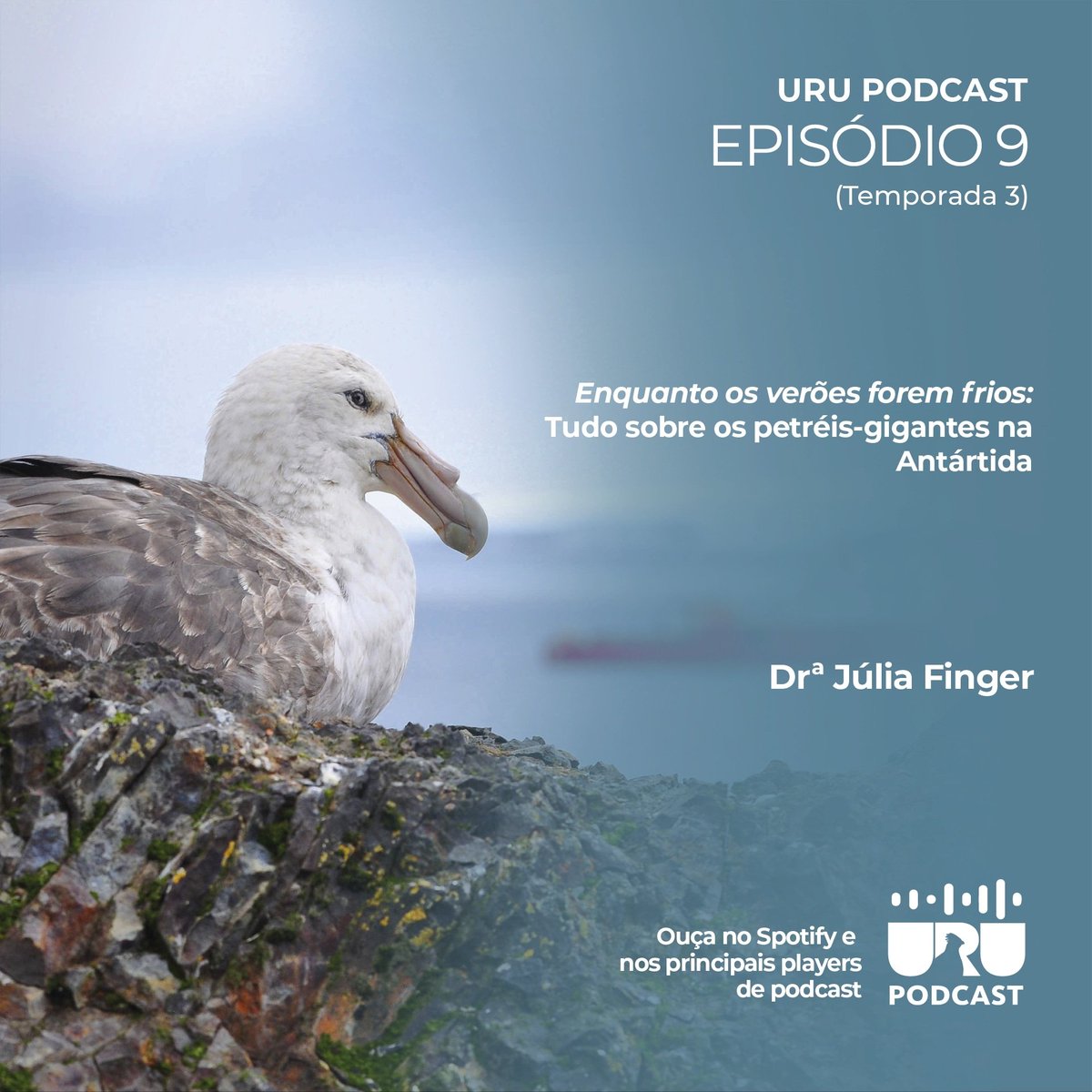 PodcastUru's tweet photo. Estamos violentamente na área com a @furtajulia falando sobre os Petréis-gigantes!

Ouça:

https://t.co/QqiRauj8y8 https://t.co/yueghPNn4w