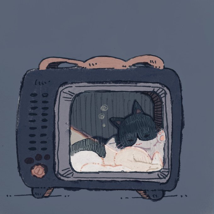 Zzz…. 。◯