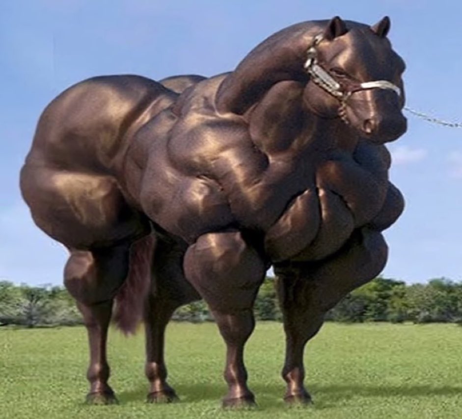 *Los errores te hacen más fuerte*

Honda y Yamaha: