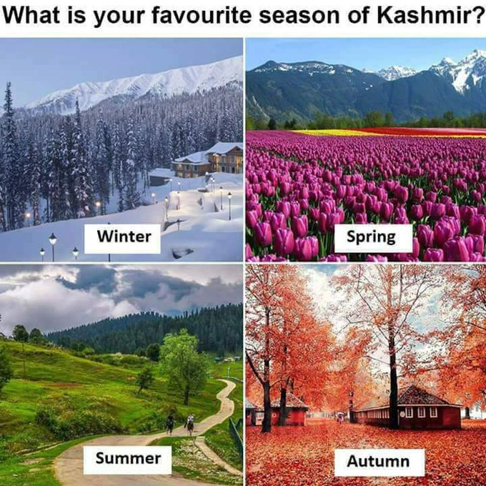 manzoorah0110's tweet photo. Kashmir's seasons weave magic: spring's vibrant hues, summer's gentle embrace, autumn's fiery art, and winter's snowy enchantment. Nature's poetry unfolds in every turn of the year. #J&KTowardsProgress #RisingKashmir #BeyondArticle370 #UnchainedJ&K #Article370Untangled https://t.co/VjYLXypkSK
