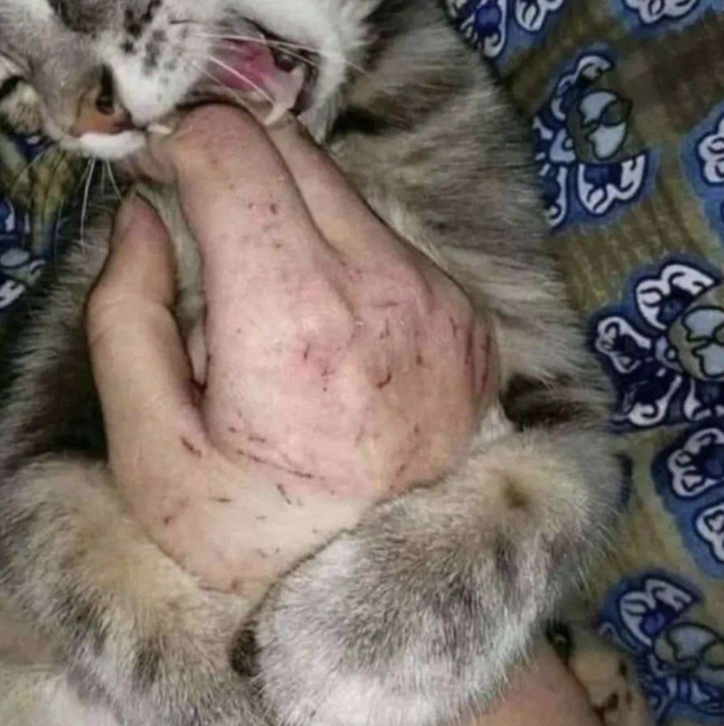 love is pain