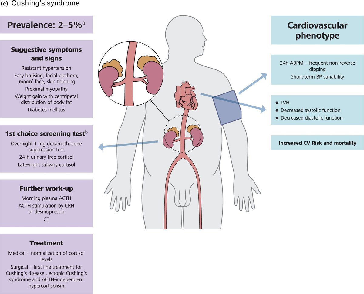Top Biomedical Science (@imedverse) on Twitter photo 2023 ESH Guidelines for the management of arterial hypertension The Task Force for the management of arterial hypertension of the European Society of Hypertension Endorsed by the European Renal Association (ERA) and the International Society of Hypertension (ISH) <a href="/ESHypertension/">European Society of Hypertension</a> 2023 ESH Guidelines for the management of arterial hypertension The Task Force for the management of arterial hypertension of the European Society of Hypertension Endorsed by the European Renal Association (ERA) and the International Society of Hypertension (ISH) <a href="/ESHypertension/">European Society of Hypertension</a>