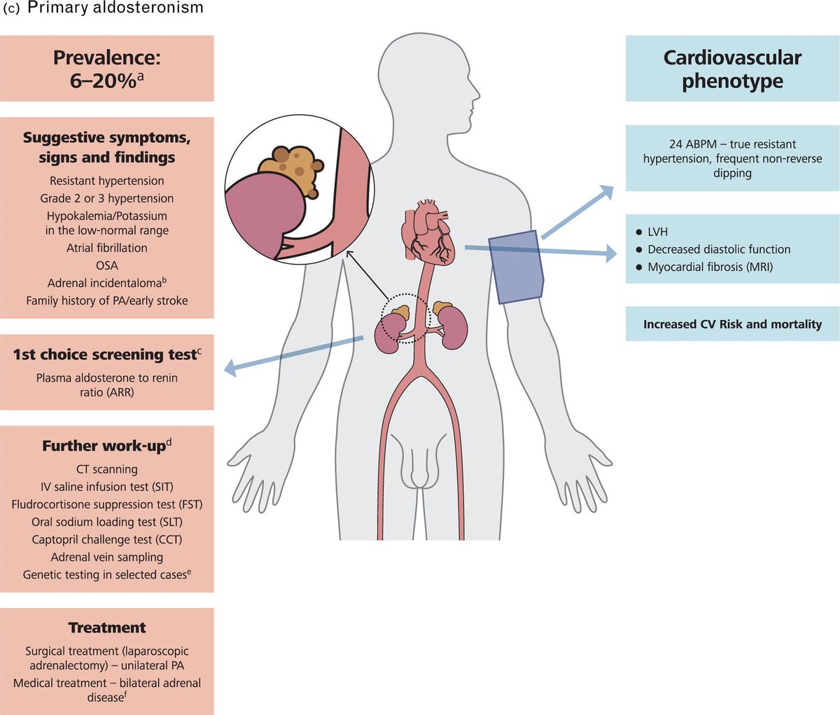 imedverse's tweet photo. 2023 ESH Guidelines for the management of arterial hypertension The Task Force for the management of arterial hypertension of the European Society of Hypertension Endorsed by the European Renal Association (ERA) and the International Society of Hypertension (ISH) @ESHypertension https://t.co/APG9amqUdR