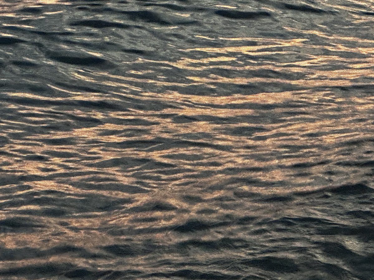 ‘ทะเลฝากบอกว่า ซู่ซู่นะ ’ ✨