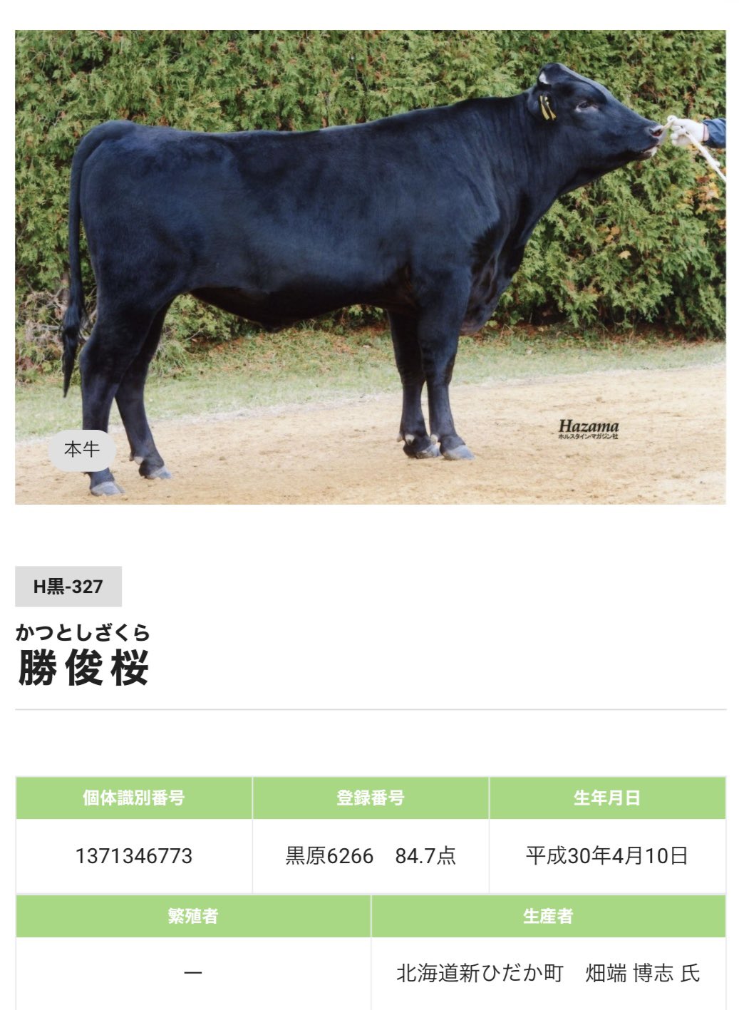 牛の臨床 最新〉主要症状を基礎にした牛の臨床3 ※前払専用商品