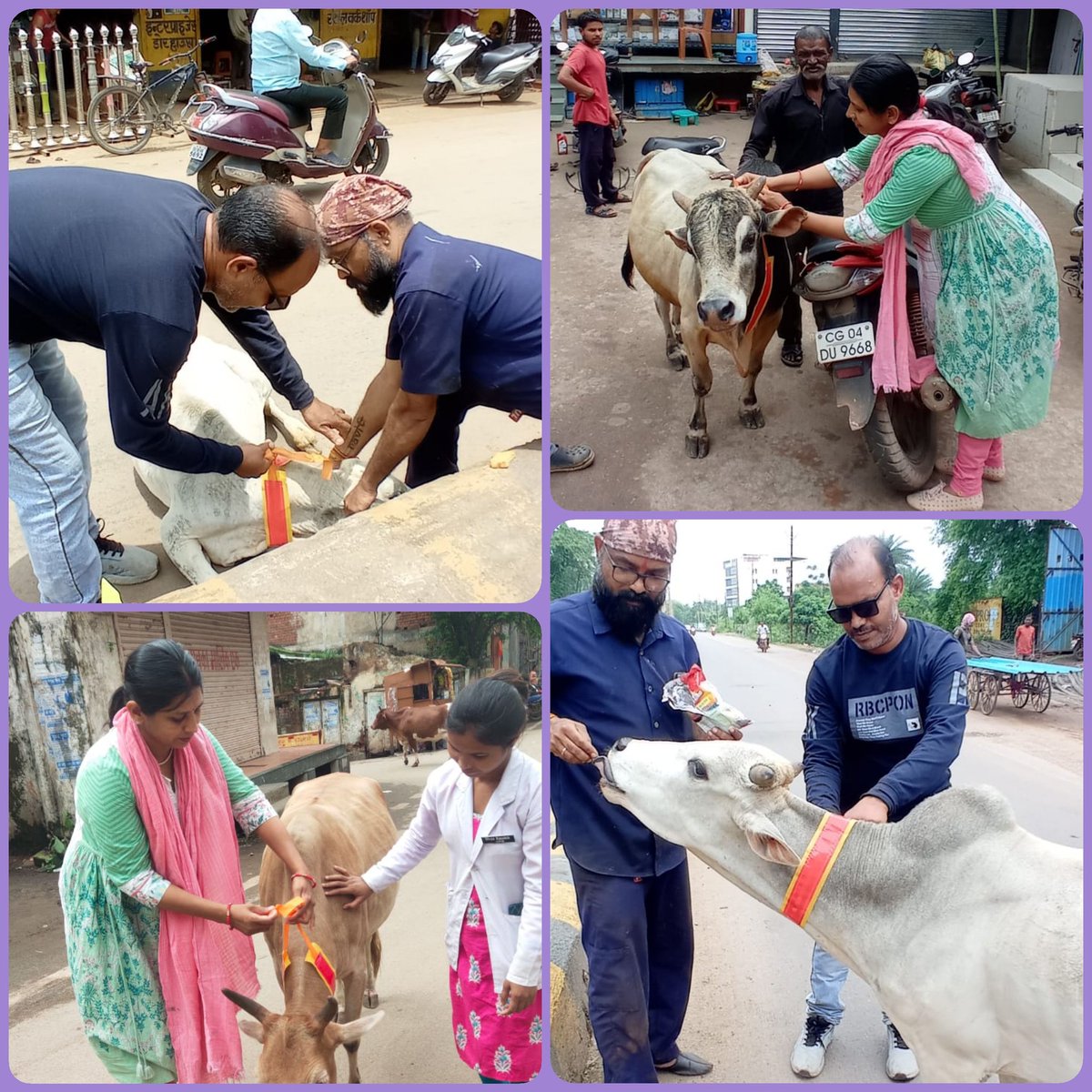 RajnandgaonDdvs's tweet photo. Tagging and Radium belt tied on stray animals at Nagar Nigam of Rajnandgaon @IASTripathiCG @k11amit @RajnandgaonDist #protection #animalwelfare #strayanimals #radiumbelt #SafetyFirst #safety #veterinaryactivities #veterinary https://t.co/IWHPqK8hMk