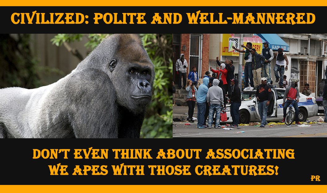 Patriot Ranger tweet media