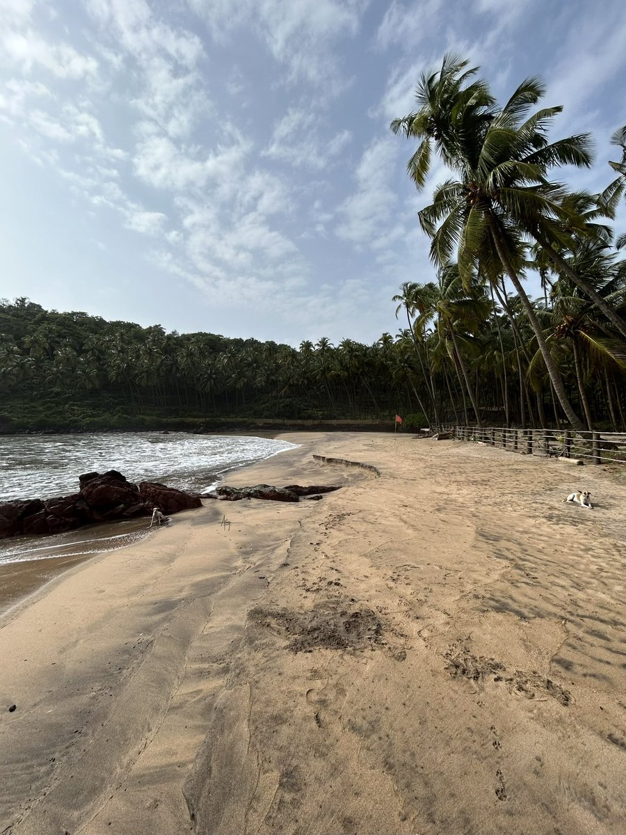 PantryCar's tweet image. 2 indies of Cabo de Rama! 

@krithikasivasw 

#Goa #SouthGoa #beachvibes