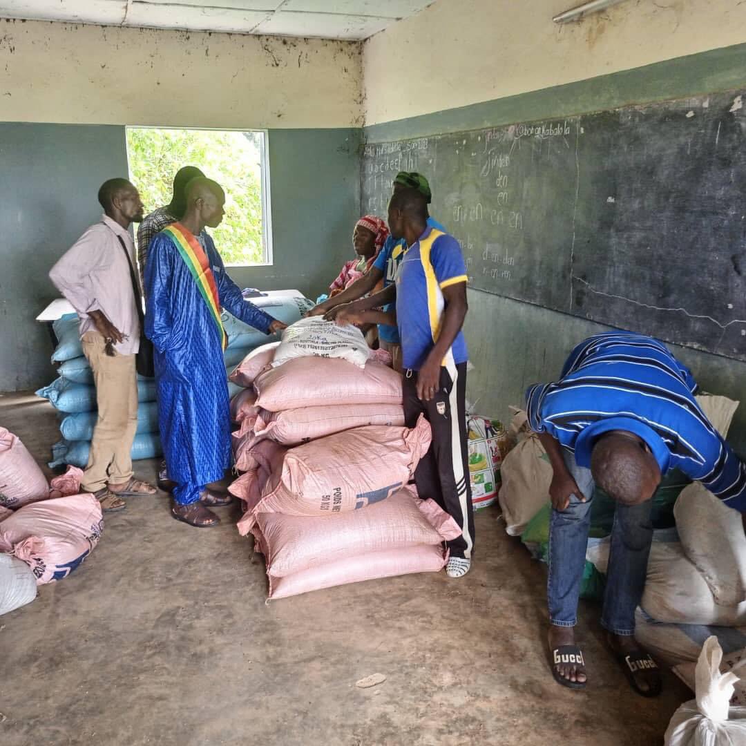 En ce début d’hivernage, #AMEDD et ses partenaires financiers ont entamé la distribution de semences améliorées et des engrais à ses producteurs intervenants dans la  mise en œuvre du #projetP2REF. #Impacts2023