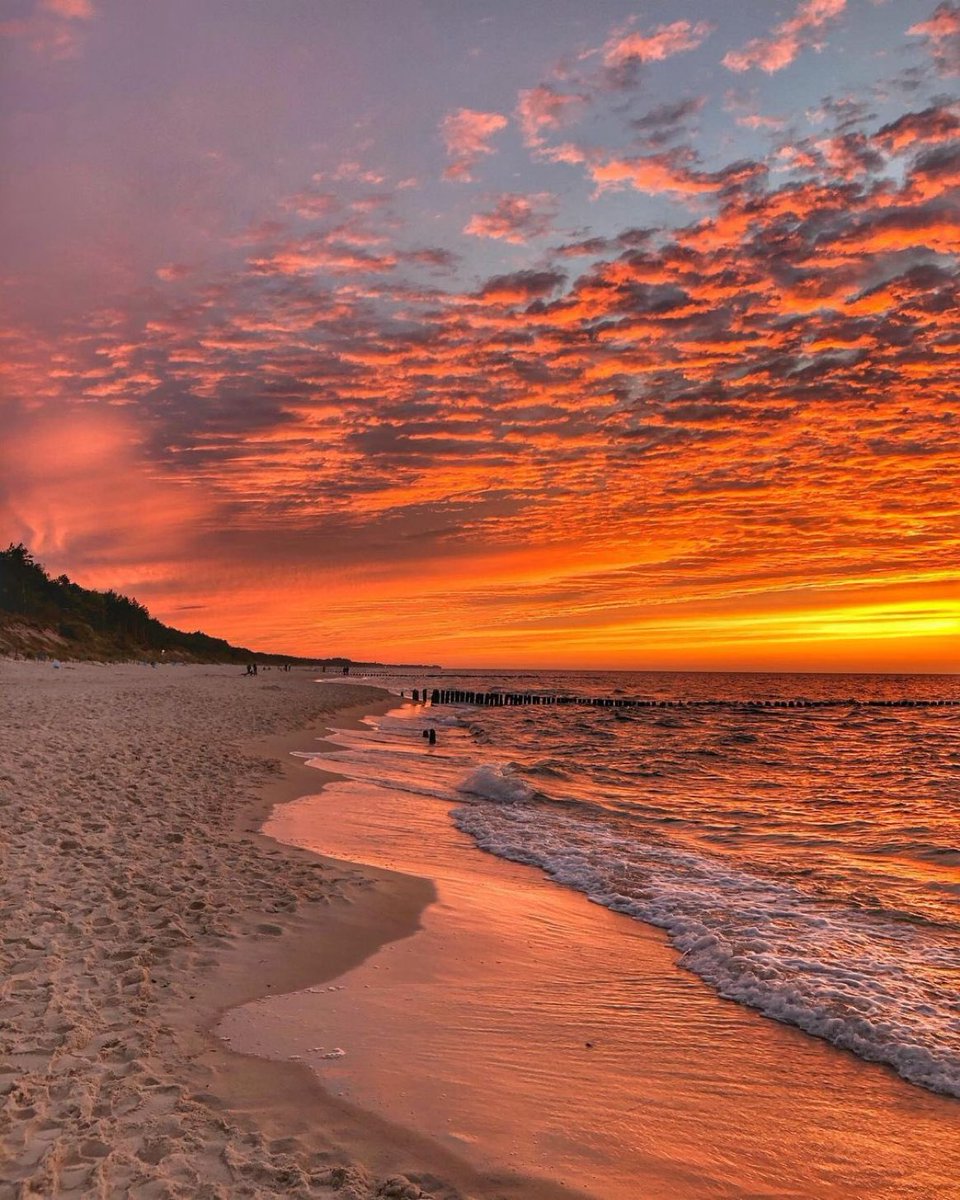 Beach in California.
