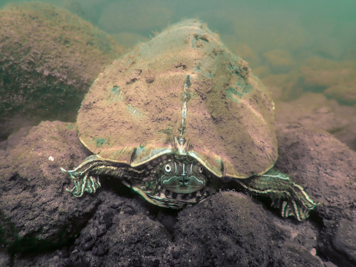 sonofdod2001's tweet photo. Snorkel views https://t.co/GVAL521mUX