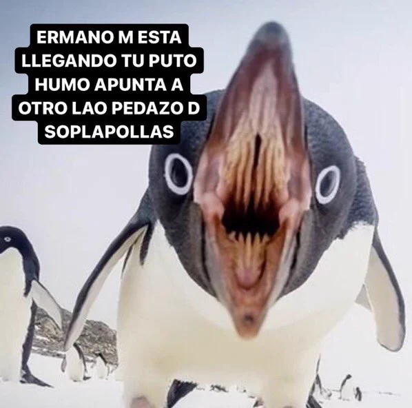 euskal herria fumar (@euskadifumar) on Twitter photo 