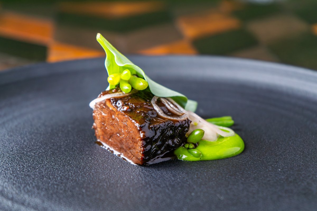 Lan y Môr Restaurant Saundersfoot tweet media