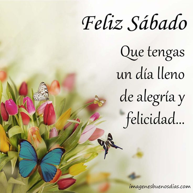 Excelente sábado cargado de energías positivas amig@s <a href="/Clauditavolvio/">🌴💦 Claudia 💦🌴</a> <a href="/Vicky_1511/">🍃🌷Victoria Beauty 💕</a> <a href="/ArelisSnchez18/">✨ Arelis Sánchez ✨</a> <a href="/Jesss_got/">Jesika</a> <a href="/nohelys51675236/">nohelys</a> <a href="/micielo1369/">@micielo1369</a> <a href="/Jeyuliz3/">Jeyuliz</a> <a href="/AndreaM151095/">Andrea😻</a> <a href="/carrion56/">BUBA</a> <a href="/DnGZE1/">Dan2🇻🇪</a> <a href="/riosjosedelc/">Jose del c. Rios</a> <a href="/juancarlosard16/">juan carlos ardila p</a>
#LasSancionesNoSonUnJuego