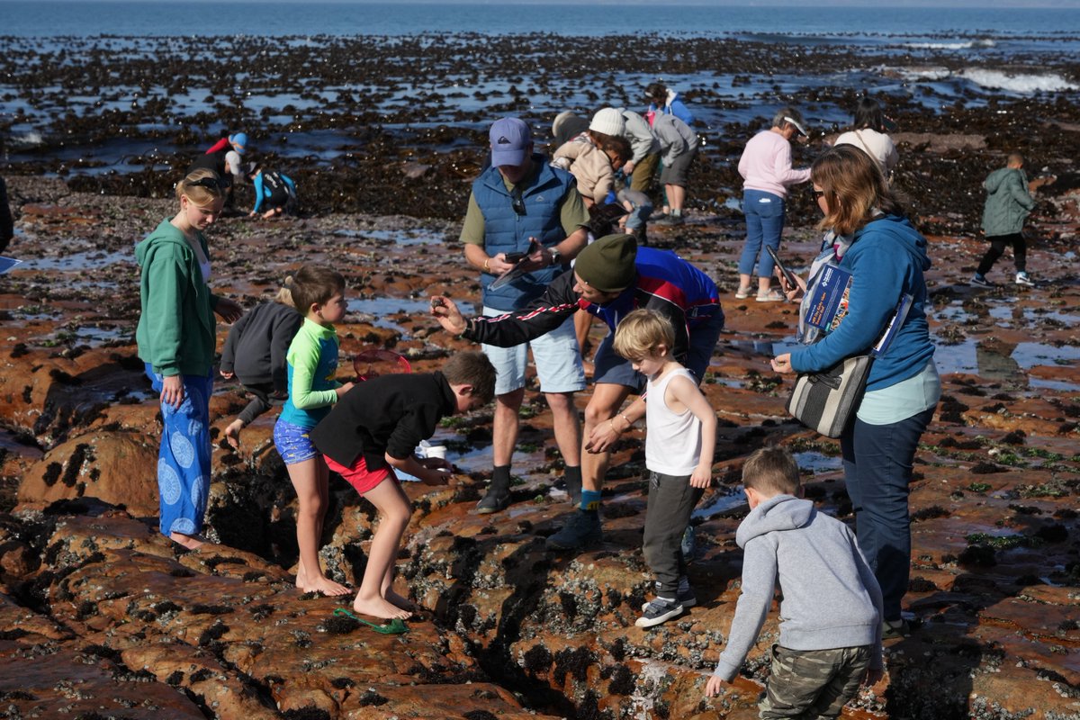 2OceansAquarium's tweet photo. 💙 Thank you for joining us at #Dalebrook for our #MPAday Treasure Hunt! It's always wonderful spending time with you, our ocean-loving #community, and it really is inspiring seeing families spending time nurturing a fascination for all things ocean-related in their little ones. https://t.co/3TkVGkfDXL