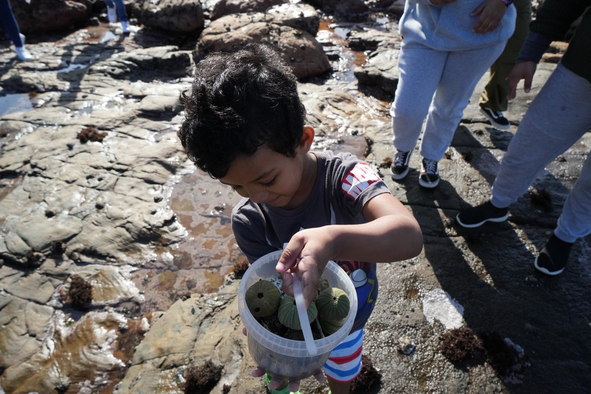 2OceansAquarium's tweet photo. 💙 Thank you for joining us at #Dalebrook for our #MPAday Treasure Hunt! It's always wonderful spending time with you, our ocean-loving #community, and it really is inspiring seeing families spending time nurturing a fascination for all things ocean-related in their little ones. https://t.co/3TkVGkfDXL