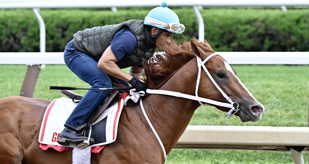 KY Derby 2023 winner Mage breezed @TheNYRA #saratogaracecourse main track for the 1st time as he preps for #traversatakes. Images copyright Skip Dickstein 2023. @timesunion @BloodHorse @NikonUSA #nikonmirrorless #NikonZ9