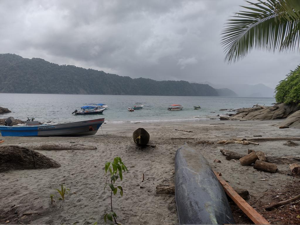 gavilan217's tweet photo. @Valentinarauj18 Bahía Solano Chocó... https://t.co/aNZWYR1OX5
