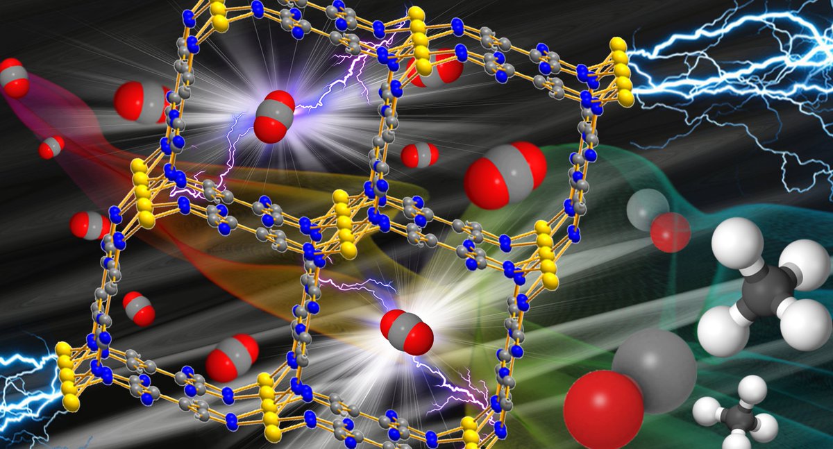 Andrea Rossin 🐭 ⚜🇮🇹🇪🇺 tweet media