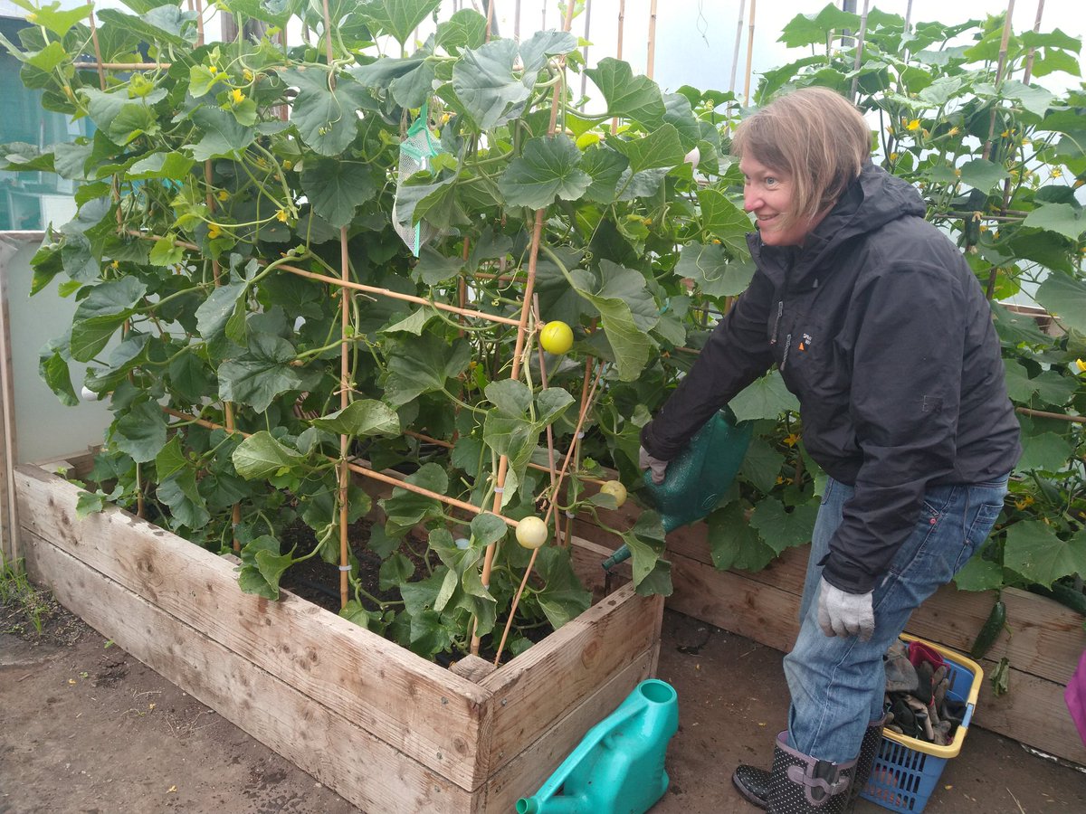 Dig In Community Allotment tweet media