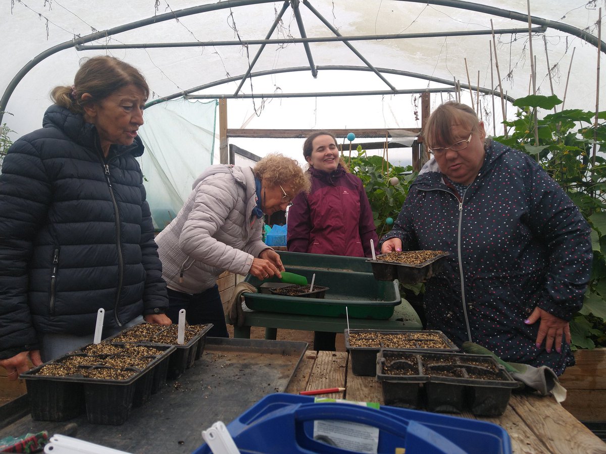 Dig In Community Allotment tweet media