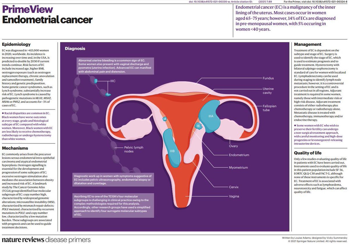Top Science (@isciverse) on Twitter photo #EndometrialCancer is a malignancy of the inner epithelial lining of the uterus and comprises distinct histological subtypes and molecular phenotypes.
<a href="/DiseasePrimers/">Nature Reviews Disease Primers</a> #MedEd #MedTwitter #cancer #EndometrialCancer is a malignancy of the inner epithelial lining of the uterus and comprises distinct histological subtypes and molecular phenotypes.
<a href="/DiseasePrimers/">Nature Reviews Disease Primers</a> #MedEd #MedTwitter #cancer