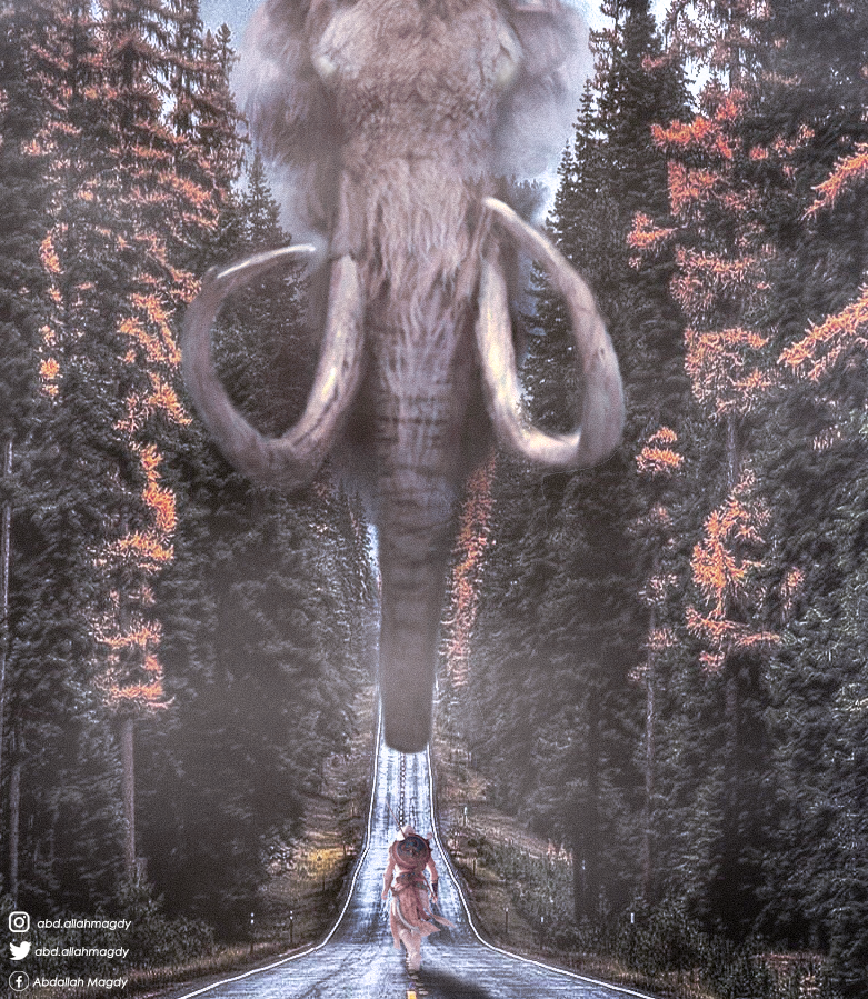 abdallahmagdyo0's tweet photo. تصميم ىدمج بالصور بالصور , إن شاء الله يعجبكم ❤❤❤
: 
#GraphicDesign #Graphic #Mammootty #photodmanipulation #poster https://t.co/MAYgfRiZTJ