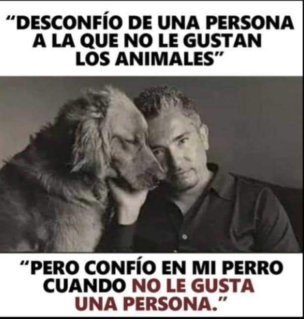 Guadalupe Ramirez tweet media