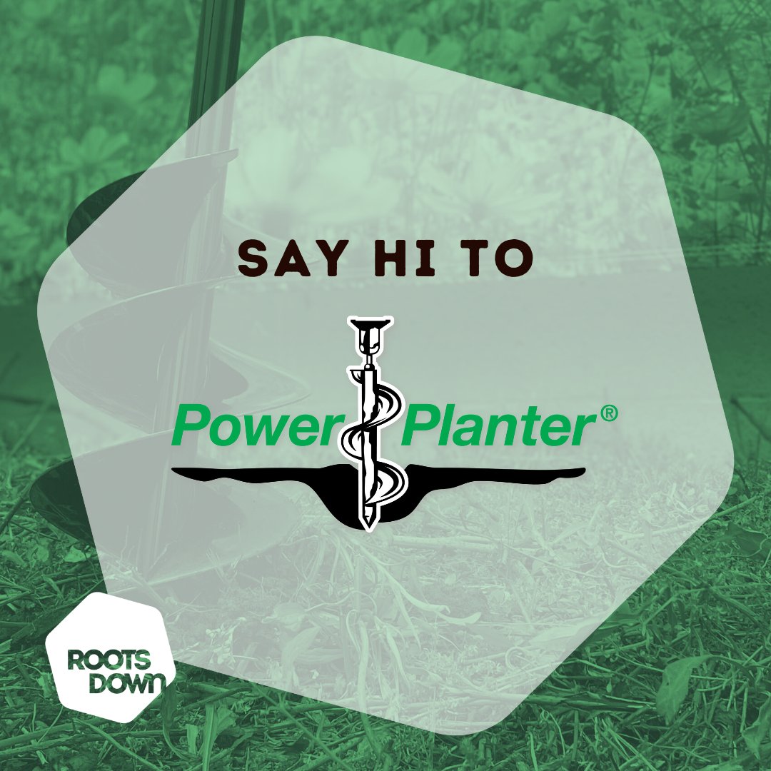 Roots Down tweet media