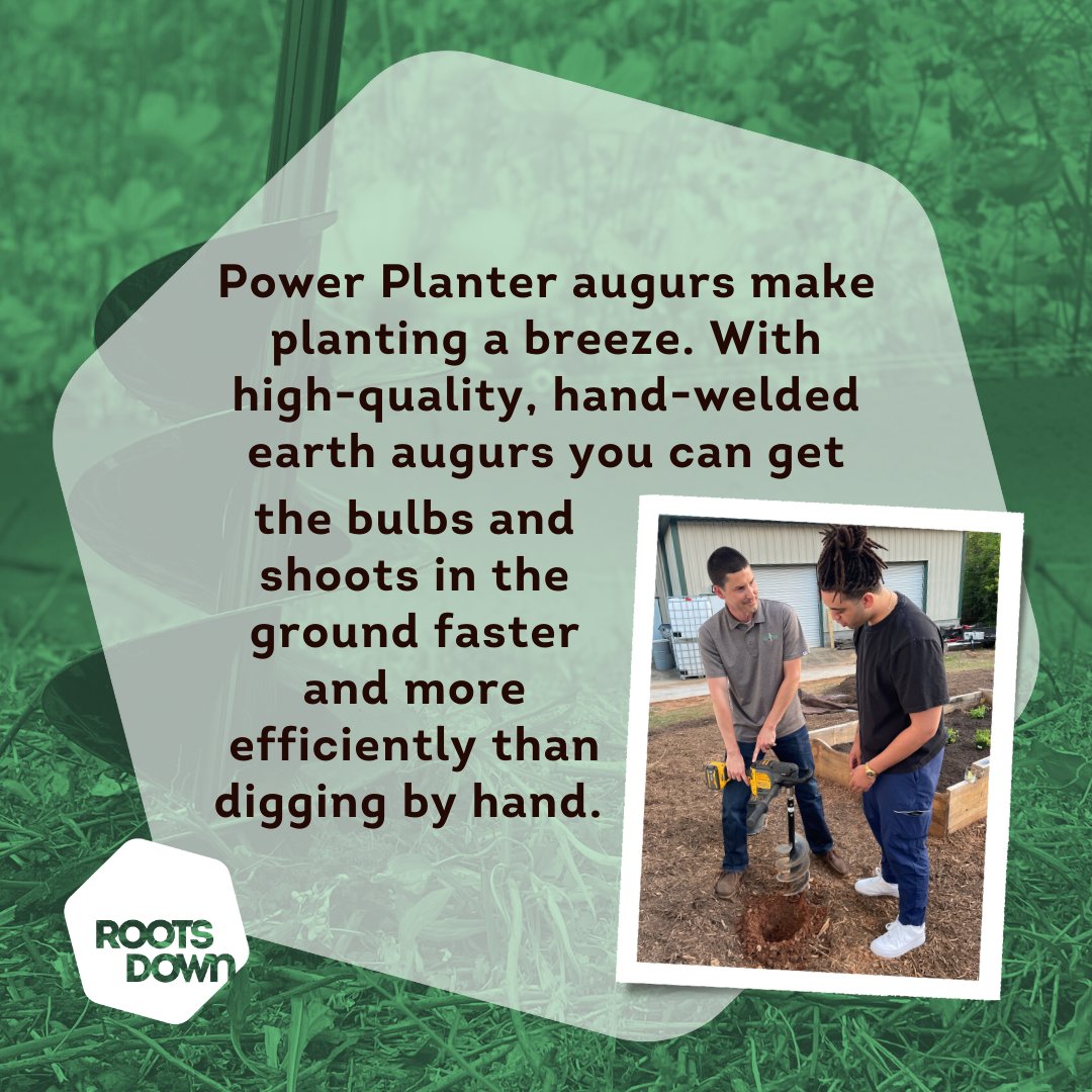 Roots Down tweet media