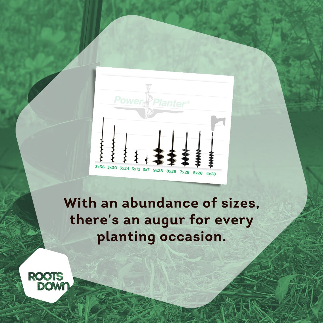 Roots Down tweet media