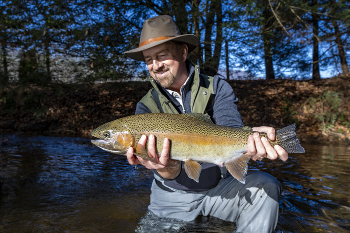 OUTDChannel's tweet photo. It is an unforgettable cast and blast adventure in northern Georgia for wild quail and hard-fighting trout. 

Sporting Classics TV with Chris Dorsey  /  ALL NEW SUNDAY AT 10:30 AM ET. 

#FindYourAdventure #hunting #Georgia #quail #quailhunting #fishing #troutfishing #trout https://t.co/cSbA0qLuYp