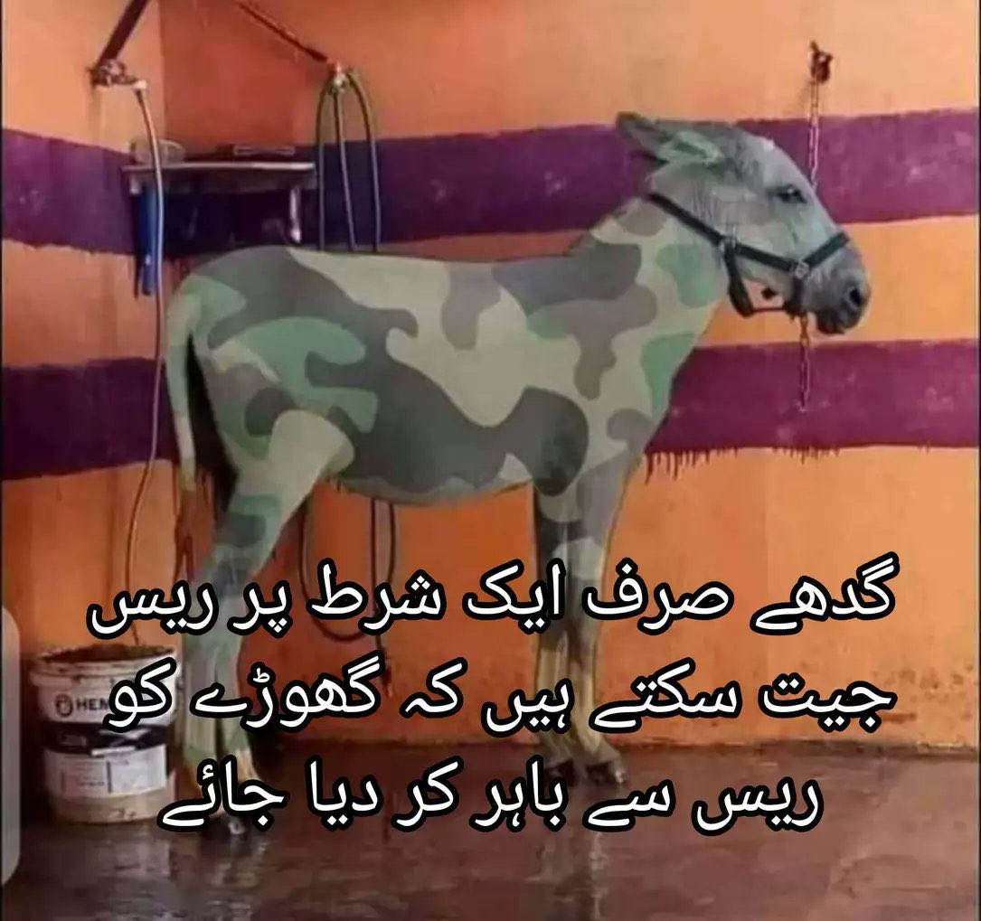 👿 ٹکر کے لوگ 😈 tweet media