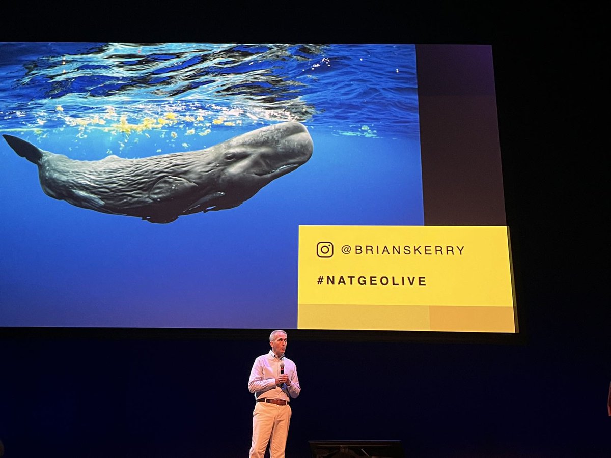 Intriguing and inspiring discussions about whale behavior in National Geographic Live talks at Long center  , secret of the whales, #natgeo. The scientists placed a camera and beluga came over do selfie. Great Q&amp;A session.